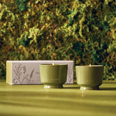 thymes citronella grove candle set